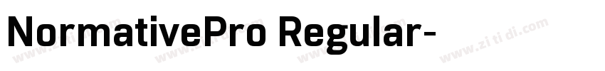 NormativePro Regular字体转换
